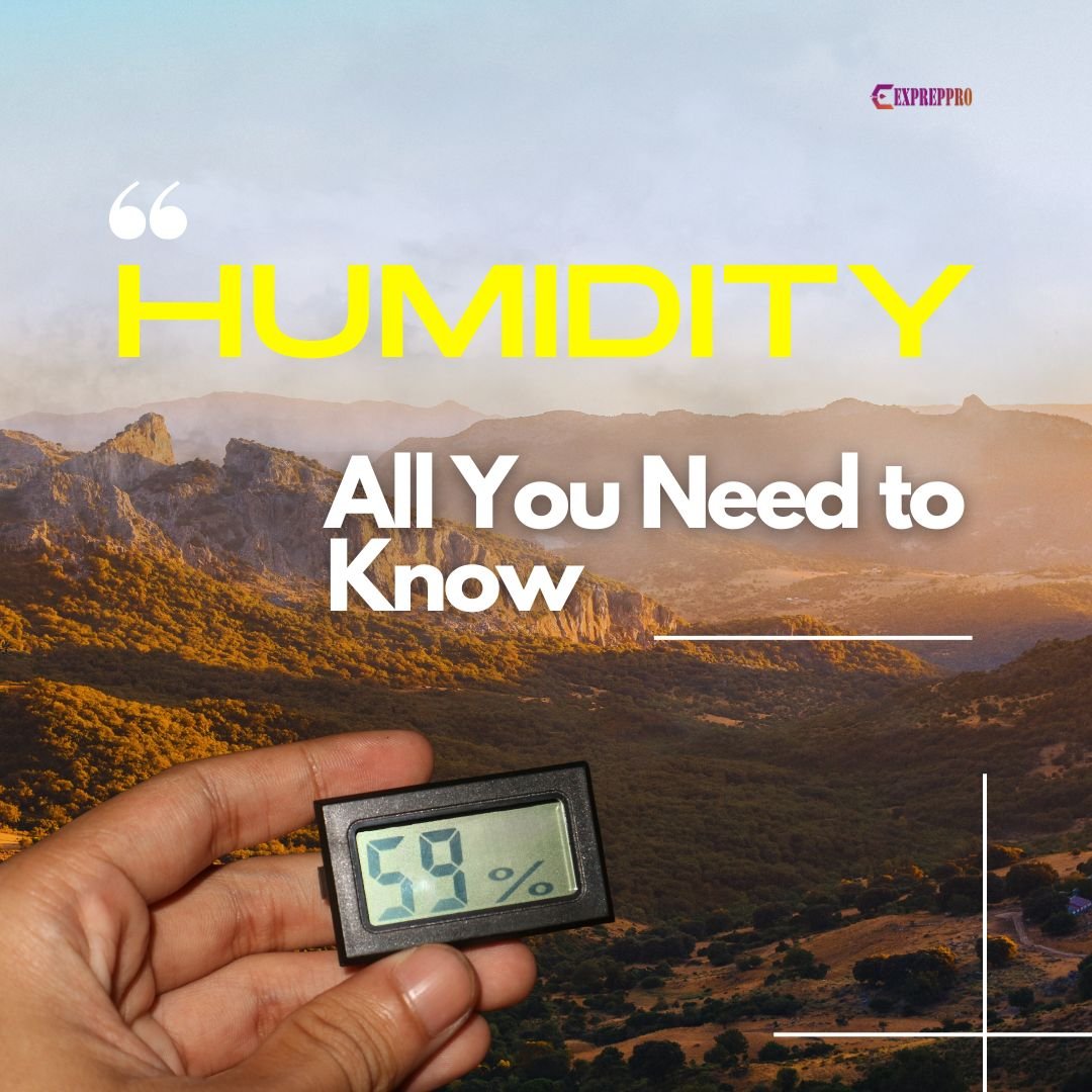 Absolute vs. Relative Humidity – What's the Difference?