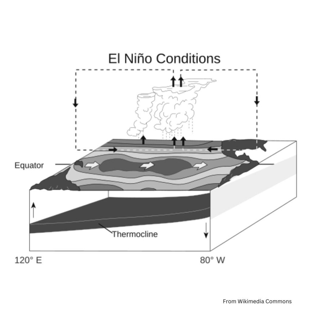 el nino