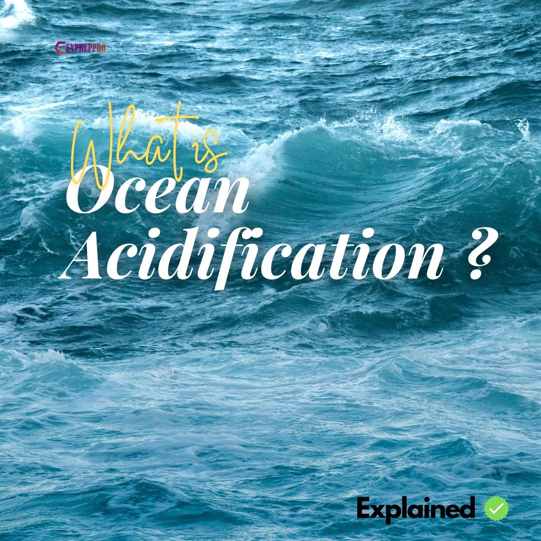 ocean acidification