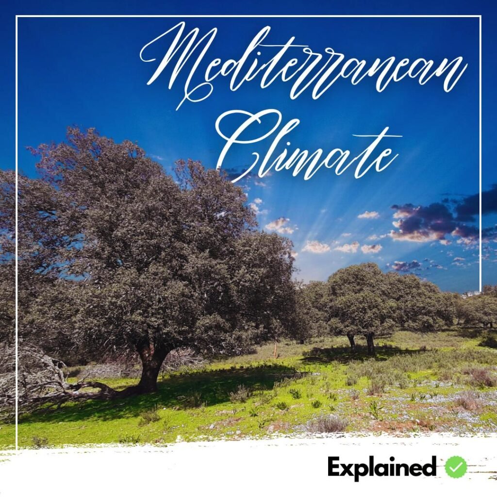 Mediterranean Climate or Western Margin Climate | UPSC