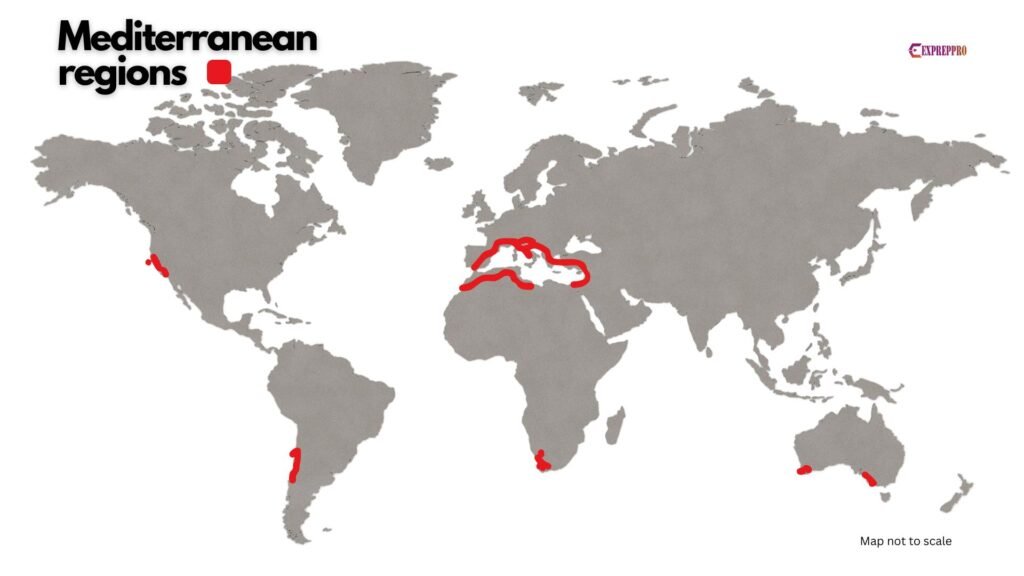 Mediterranean climate