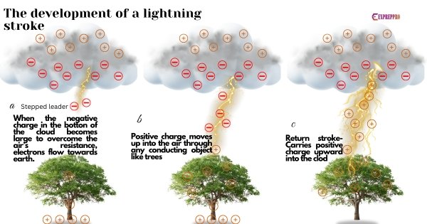 development of lightning stroke 