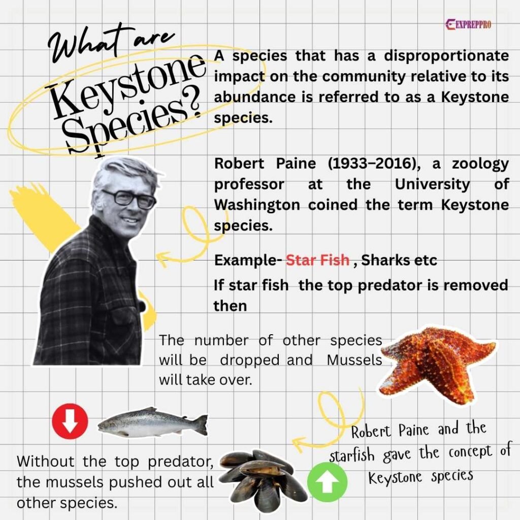 what are keystone species? Explained.